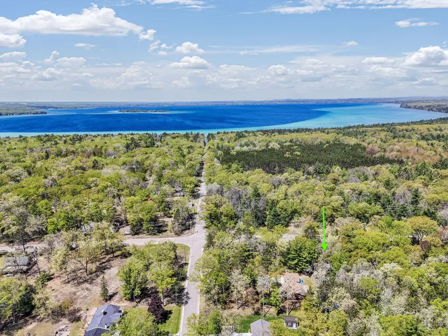 6412 E Higgins Lake Drive, Roscommon, MI 48653 - #3