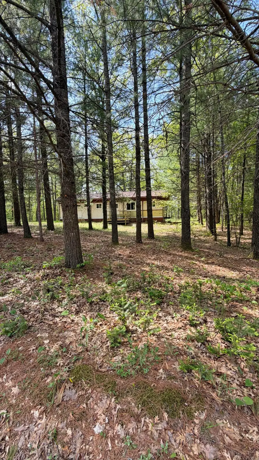 6539 Mattis Drive, Glennie, MI 48737 - #2