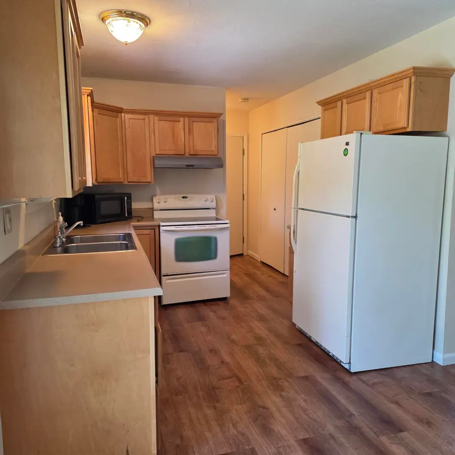 358 N Addison Street, Alpena, MI 49707 - #3