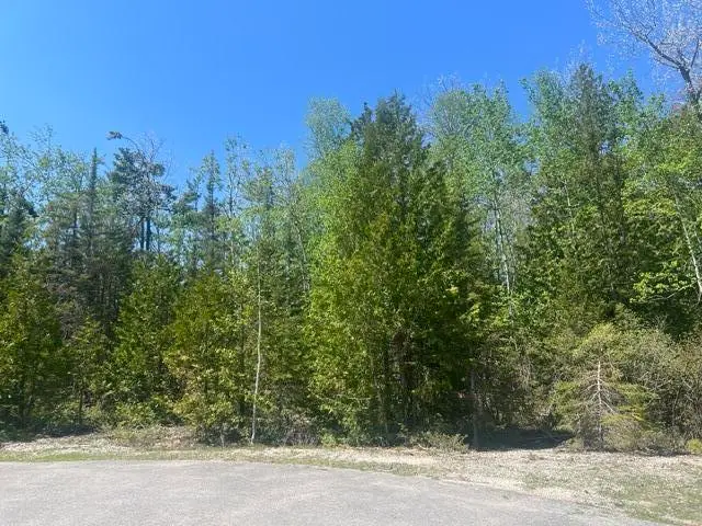 Lot 138 Tiptop Court W, Presque Isle, MI 49777 - #1