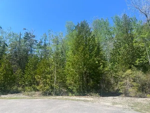 Lot 138 Tiptop Court W, Presque Isle, MI 49777