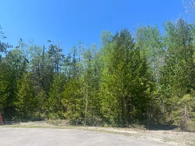 Lot 138 Tiptop Court W, Presque Isle, MI 49777 - #3