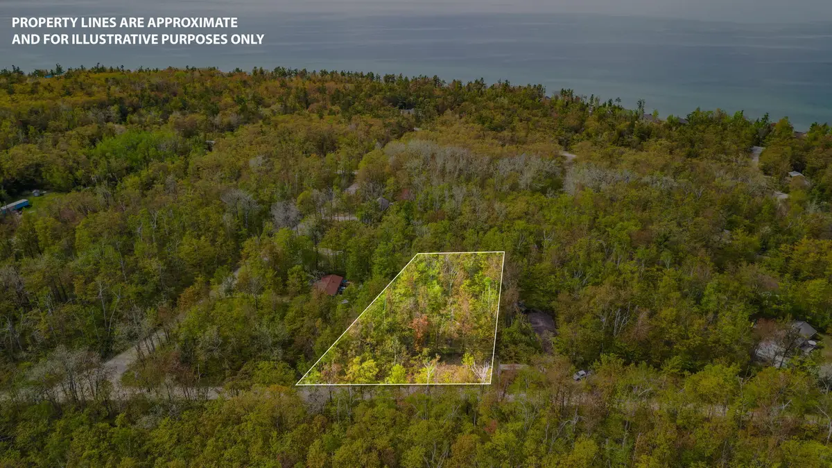 8299 Ridgeview Drive, Cheboygan, MI 49721 - #1