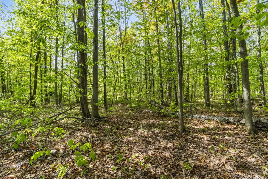 8299 Ridgeview Drive, Cheboygan, MI 49721 - #3
