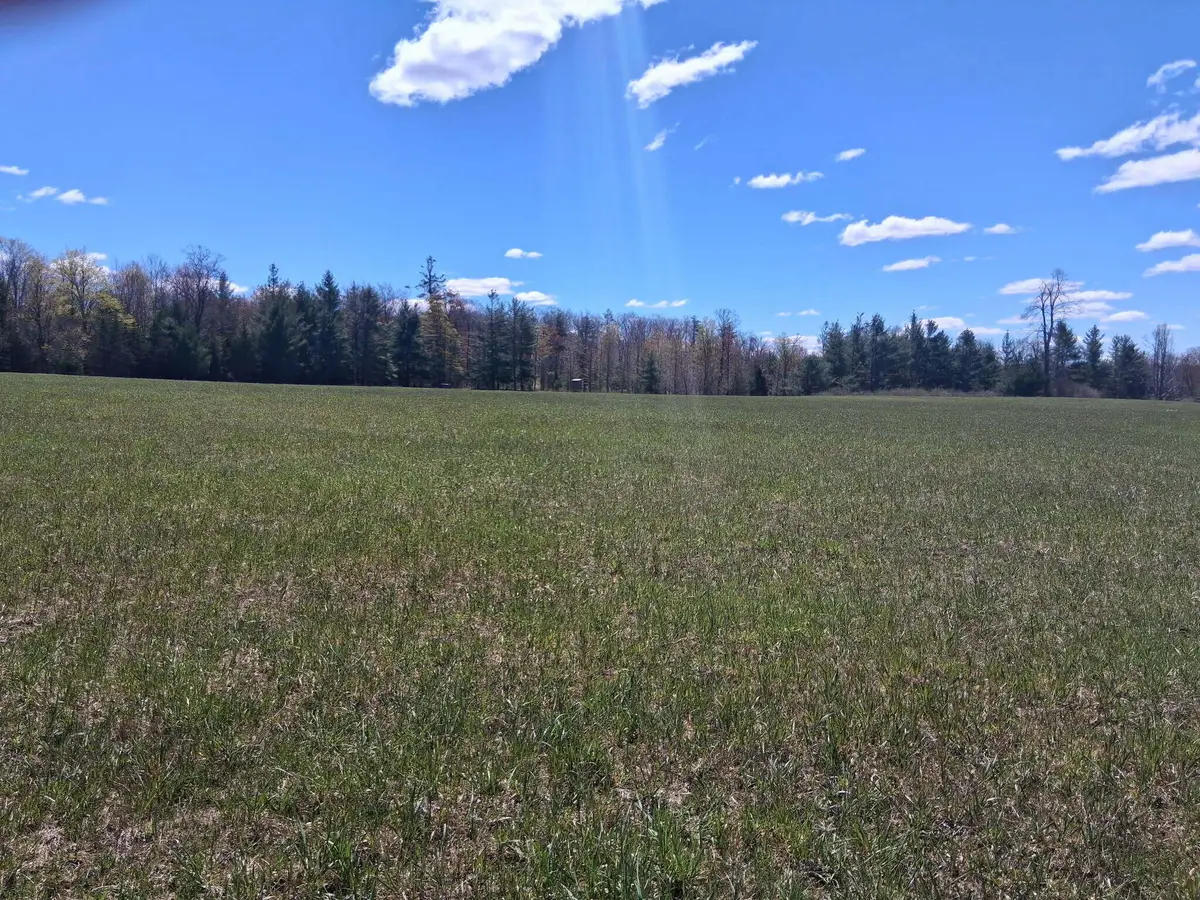 V/L 64.97 N M-65 Highway, Curran, MI 48728 - #1