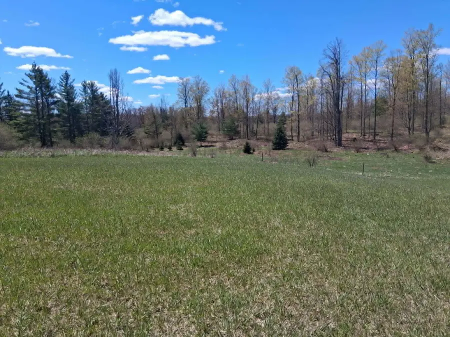 V/L 64.97 N M-65 Highway, Curran, MI 48728 - #3