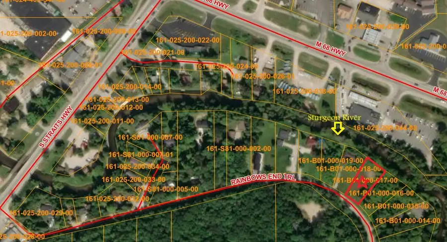 4229 Rainbow End Trail, Indian River, MI 49749 - #2