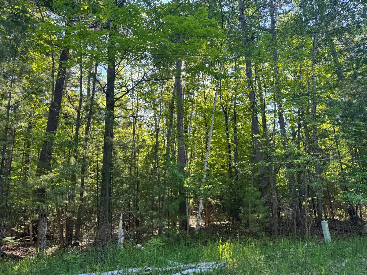 6310 Link Boulevard, Indian River, MI 49749 - #1