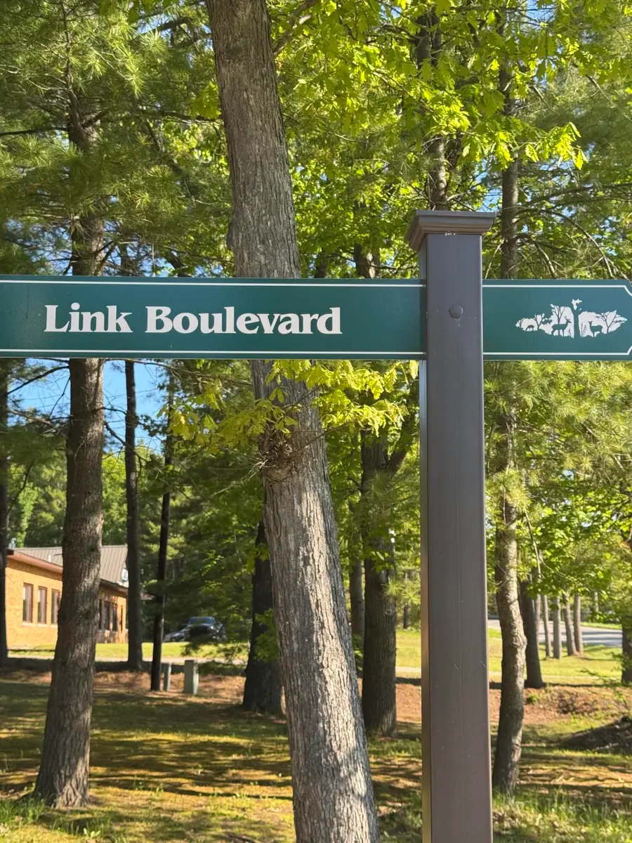 6310 Link Boulevard, Indian River, MI 49749 - #3