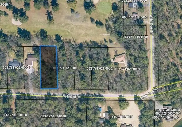 24 W Nestel Road, Prudenville, MI 48651 - #2