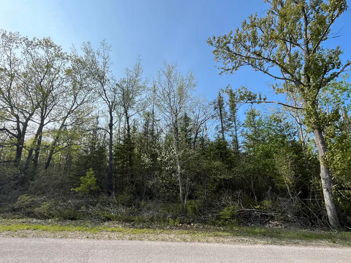 Lot 102 Laurelhill Circle, Presque Isle, MI 49777 - #1