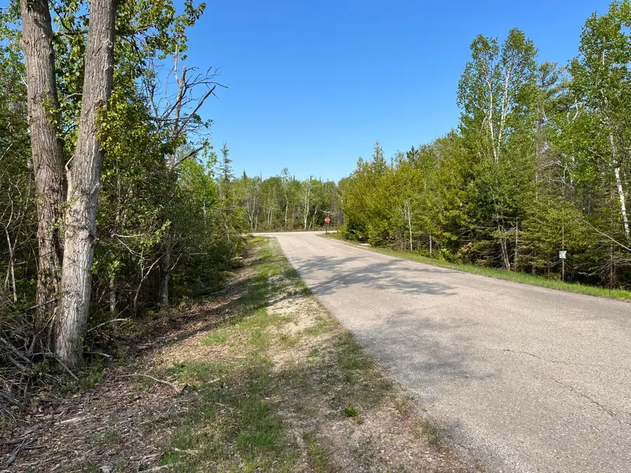 Lot 102 Laurelhill Circle, Presque Isle, MI 49777 - #3