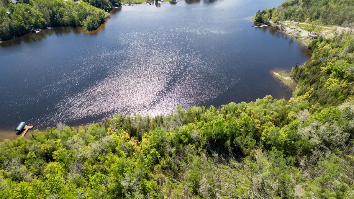 Parcel C N Black River Road, Cheboygan, MI 49721 - #1
