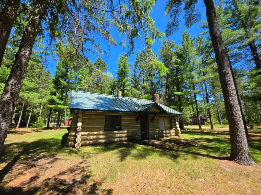 260 Popps Road, Mio, MI 48647 - #3