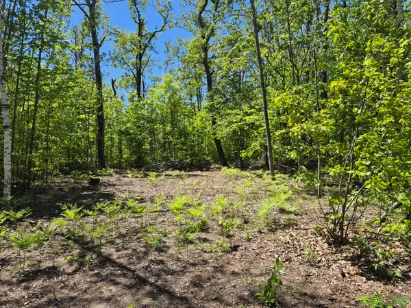 L 187-188 Primrose Trail, Gaylord, MI 49735