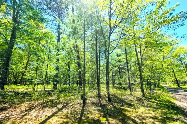 Lots 30-33 Madison Avenue, Grayling, MI 49738