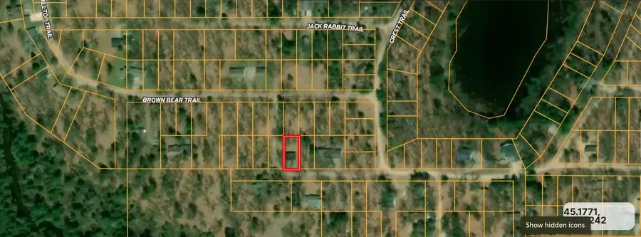 8116 Wolverine Trail, Atlanta, MI 49709 - #2