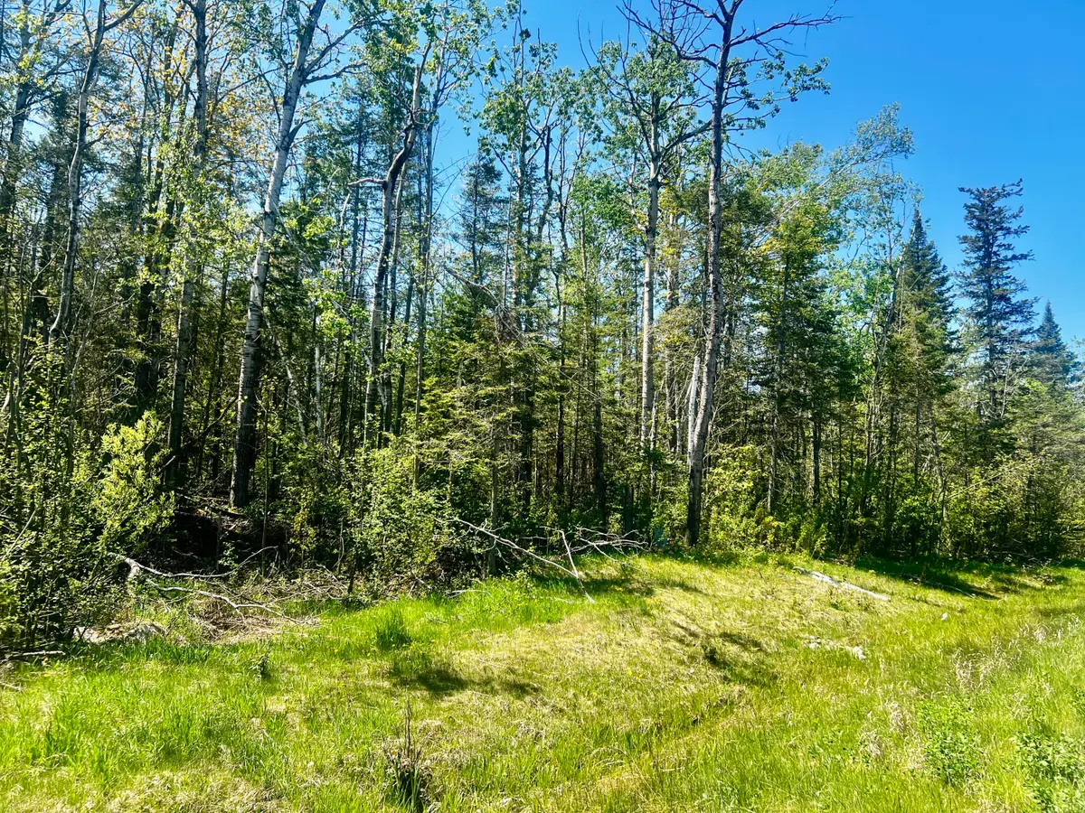 6116 U.s. 23 Highway, Cheboygan, MI 49721 - #1