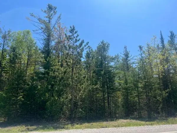 Lot 460 E Co Rd 638, Presque Isle, MI 49777