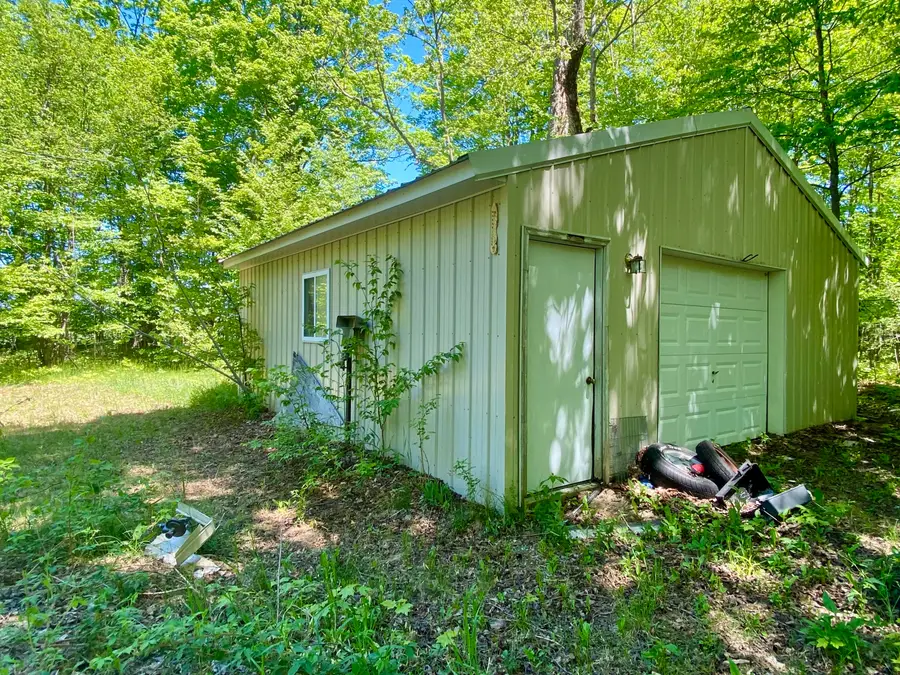 4120 Blackberry Lane, Elmira, MI 49730 - #3