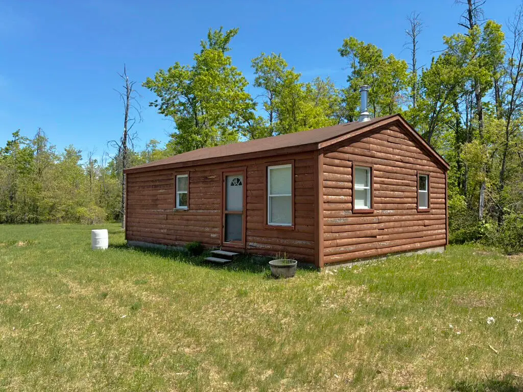 4554 Sachs Drive, Lewiston, MI 49756 - #1