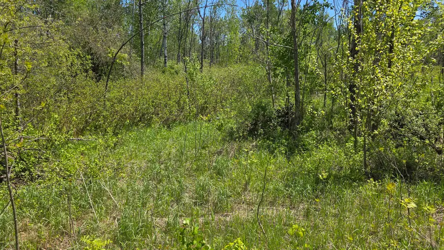 L 1-12 Mill Street, Levering, MI 49755 - #3