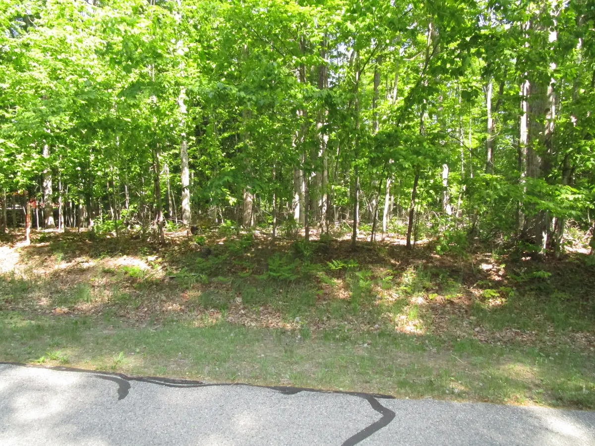 11190 Hassler Woods Trail, Alanson, MI 49706 - #1