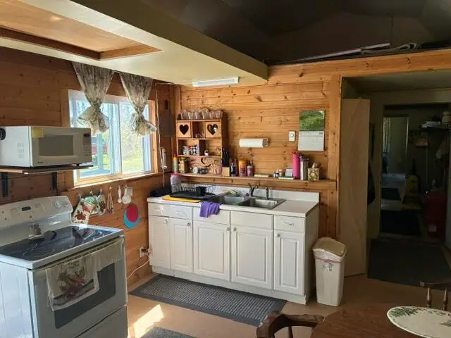 8397 Lovells Road, Grayling, MI 49738 - #3