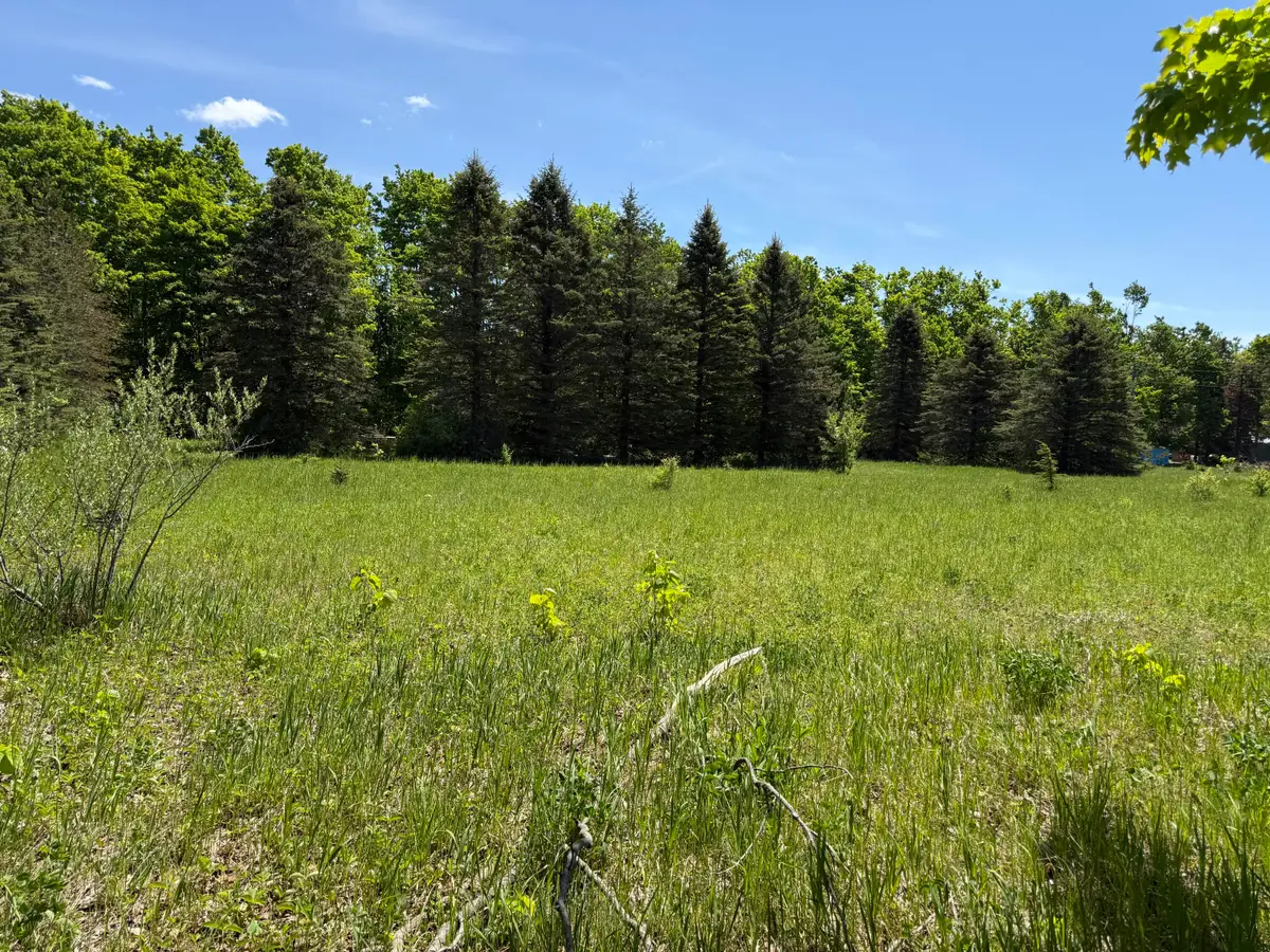 621 Franckowiak Road, Elmira, MI 49730 - #1