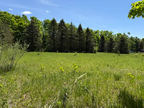 621 Franckowiak Road, Elmira, MI 49730