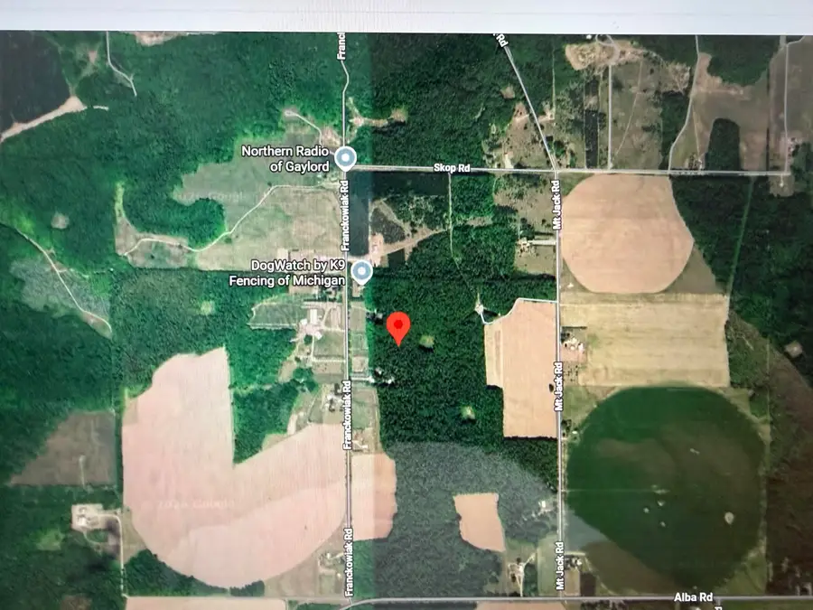 621 Franckowiak Road, Elmira, MI 49730 - #3