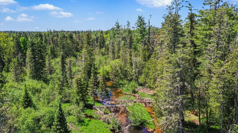 8100 Nature Ridge Trail, Vanderbilt, MI 49795 - #3
