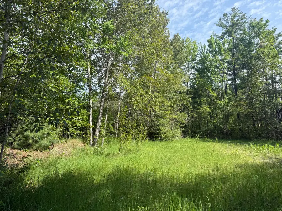 Lot 4 E Houghton Lake Drive, Houghton Lake, MI 48629 - #3