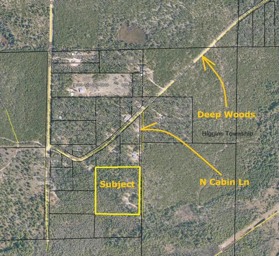 7601 N Cabin Lane, Roscommon, MI 48653 - #2