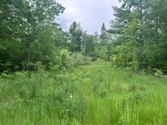 0.75 AC N Us-23, Spruce, MI 48762 - #1
