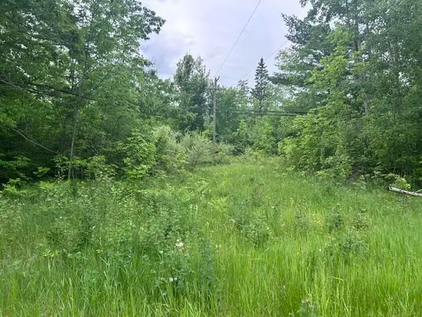 0.75 AC N Us-23, Spruce, MI 48762