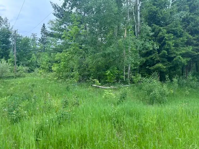 0.75 AC N Us-23, Spruce, MI 48762 - #3