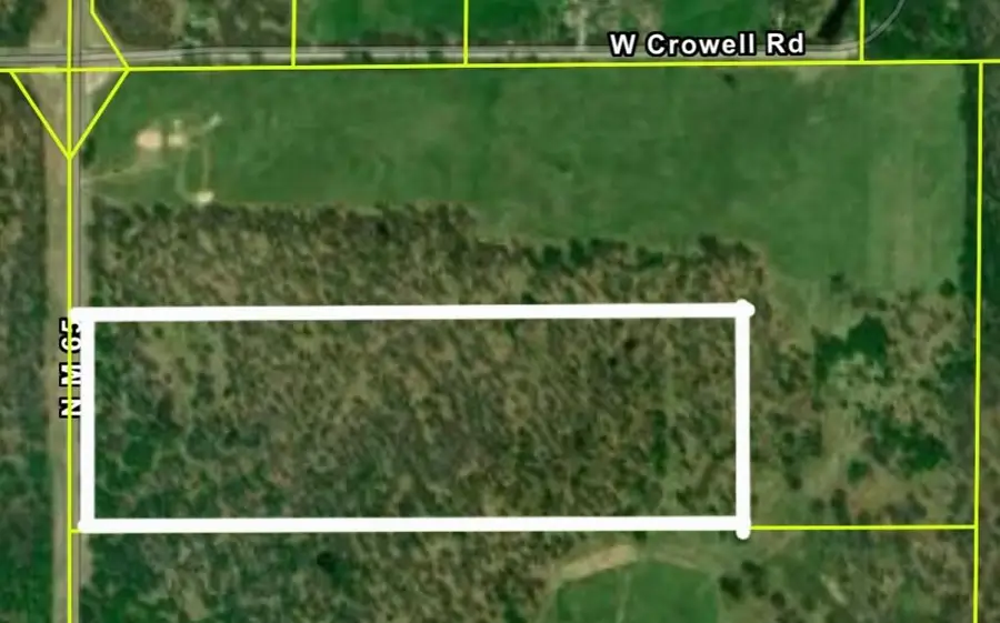 38.76 AC N Michigan 65 Highway, Curran, MI 48728 - #2