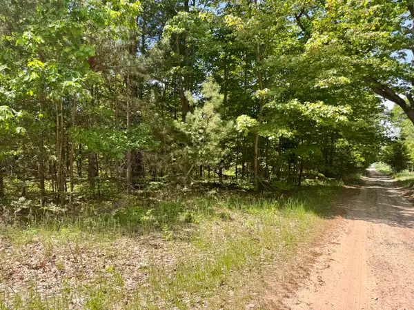 Par 5 Needles Road, Indian River, MI 49749