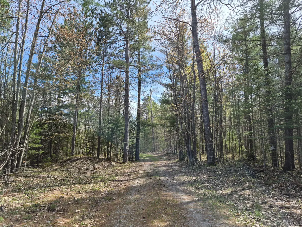 Par 13C Ocqueoc Lake Road, Millersburg, MI 49759 - #1