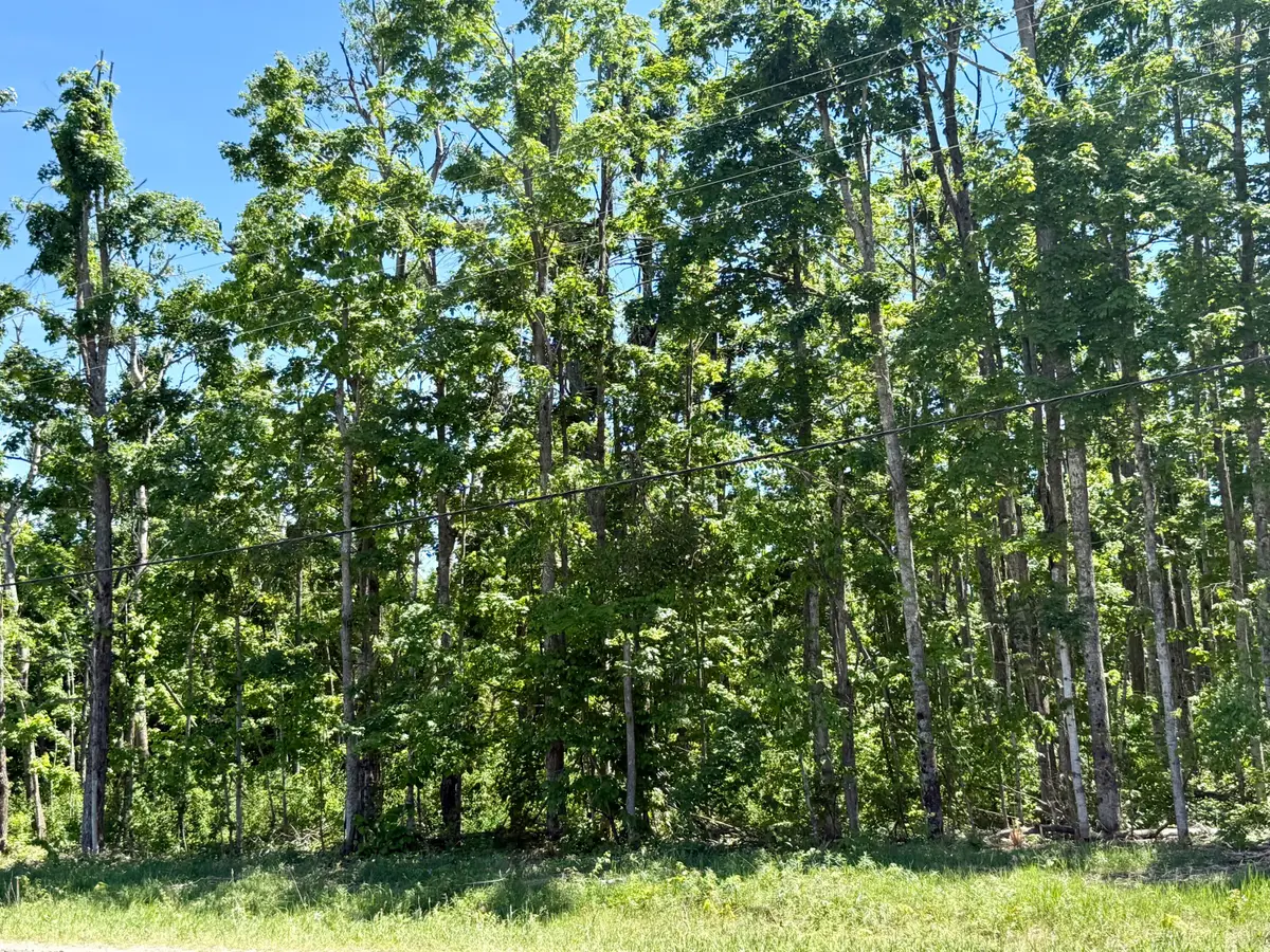 Parcel 6 Van Tyle Road, Elmira, MI 49730 - #1