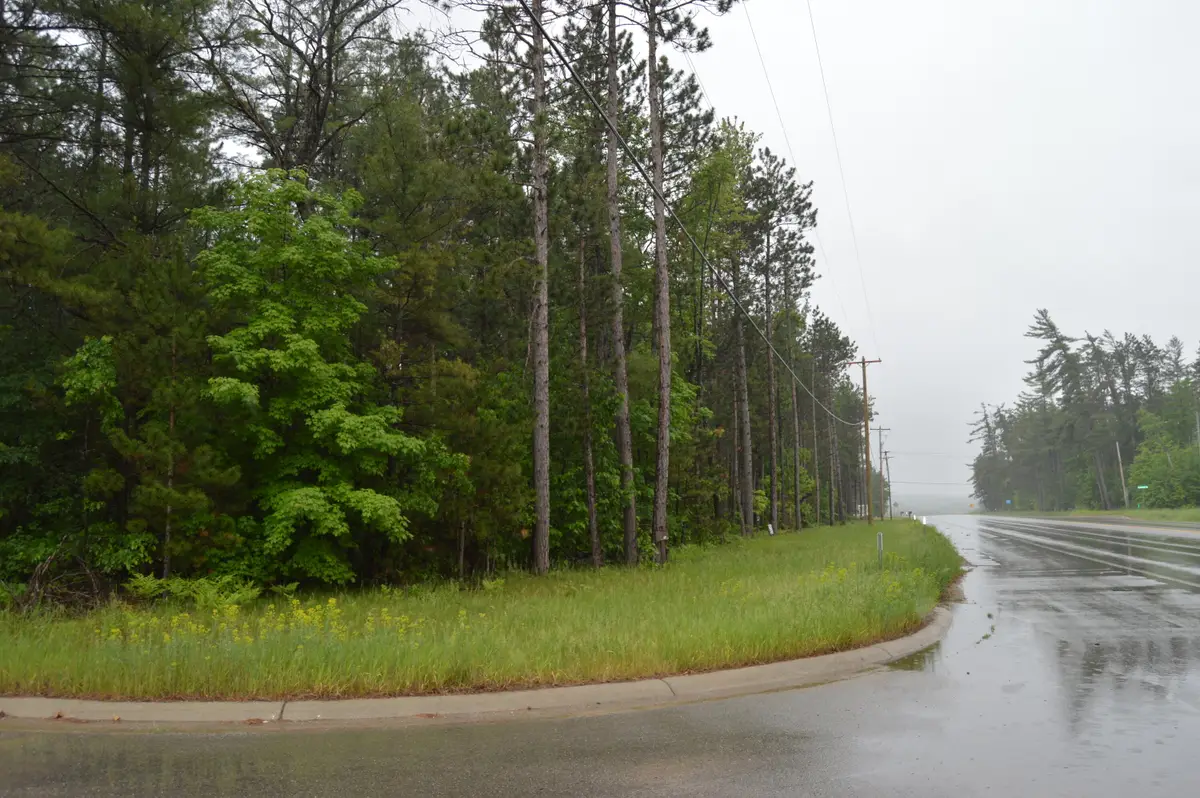 L 14-16 N Mount Tom Road, Mio, MI 48647 - #1