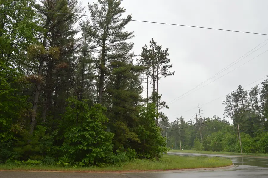 L 14-16 N Mount Tom Road, Mio, MI 48647 - #3