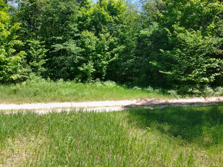 Parcel W-1 Deermont Lane, Kalkaska, MI 49646 - #3