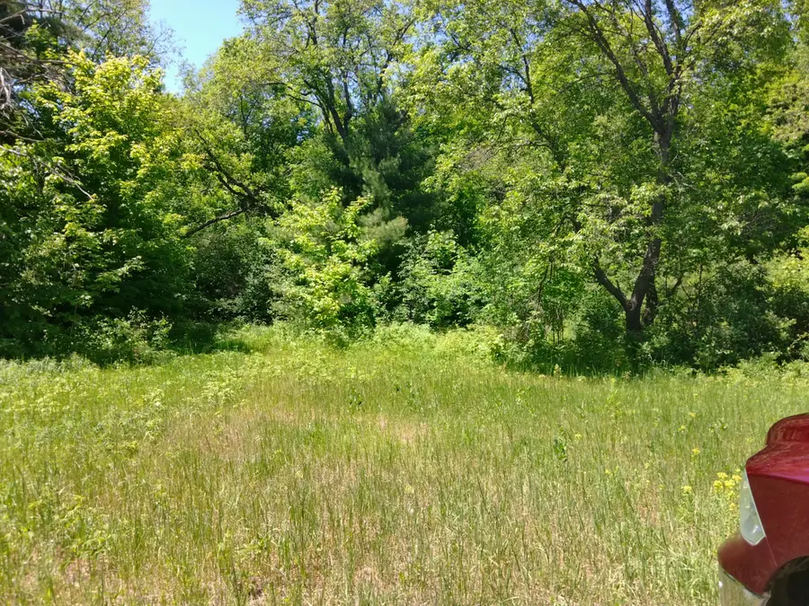 Parcel W-2 Deermont Lane, Kalkaska, MI 49646 - #2