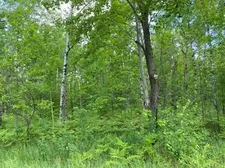 Lot 141 Montrose Drive, Mancelona, MI 49659