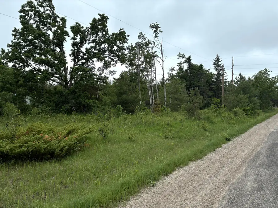 Lot 37 Sheridan Road, Lewiston, MI 49756 - #3