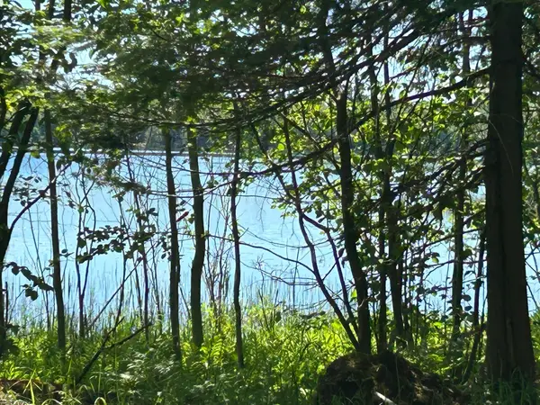 0.94 AC S Wegwas Drive, Trout Lake, MI 49793