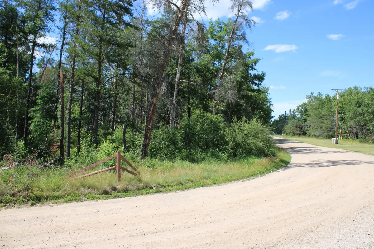 Lots 67-68 E Jackpine Loop, Mio, MI 48647 - #1
