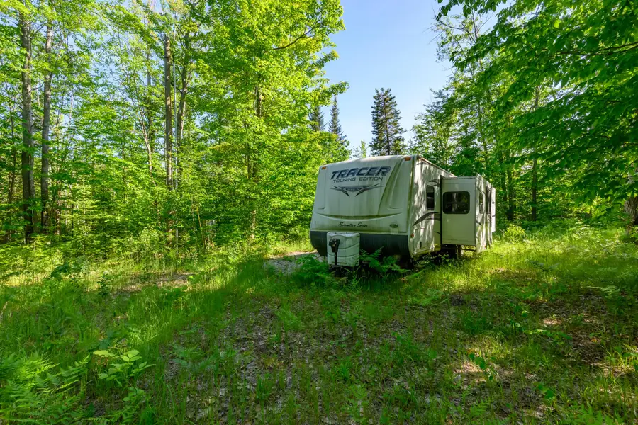 2477 Mont Gabriel Road, Wolverine, MI 49799 - #3